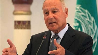 أبو الغيط يبحث مع العبادي آخر المستجدات في العراق