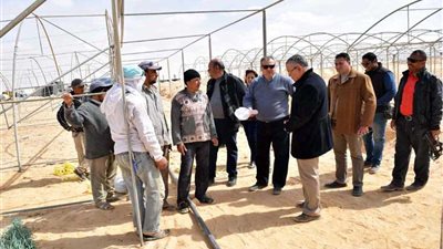 محافظ المنيا يتفقد مشروع استزراع 20 ألف فدان