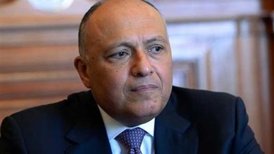 سد النهضة وانتخابات الرئاسة وإعمار العراق .. تصريحات وزير الخارجية عن الملفات الثلاثة (فيديو)