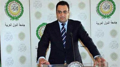 عفيفي ينتقد مزايدات وزير الخارجية التركي