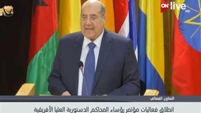 رئيس المحكمة الدستورية: نبذل الجهود لتوثيق التعاون بين الشعوب الإفريقية (فيديو)