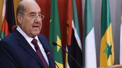 رئيس الدستورية: لا مجال للإرهاب والأنظمة القضائية مهمتها الحفاظ على أبناء القارة