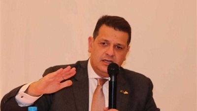 رئيس لجنة العلاقات الخارجية بالنواب يعرض التحديات على المصريين بالكويت