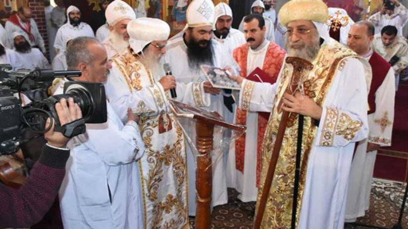 محافظ البحيرة: تشيد