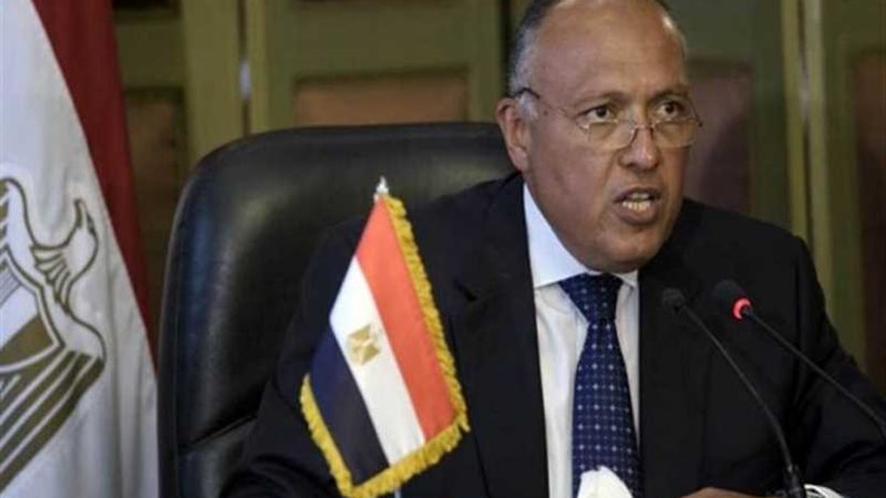 وزير الخارجية يؤكد