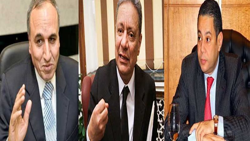 وزير قطاع الأعمال