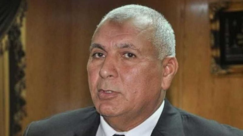 محافظ الوادي الجديد