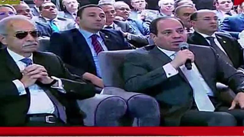 السيسي عن استيراد