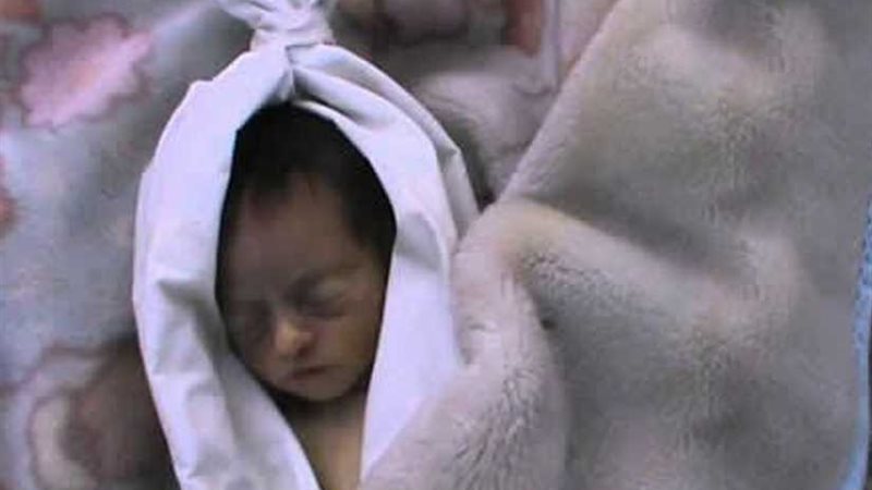 تحذير من الدولية