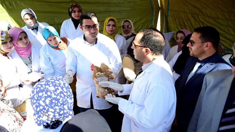 قافلة بيطرية بقرى