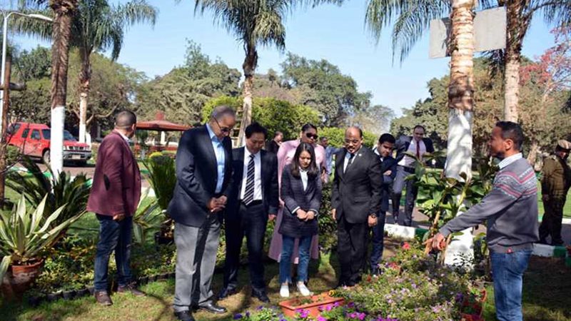 بالصور.. محافظ القليوبية