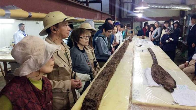 أكبر وفد من أساتذة