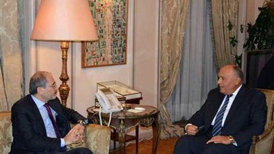 شكري يبحث مع الصفدي آخر مستجدات القضية الفلسطينية