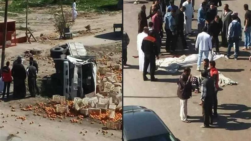 نيابة الإسكندرية