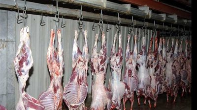 جزارو الغربية يعترضون على إعدام الذبائح المصابة