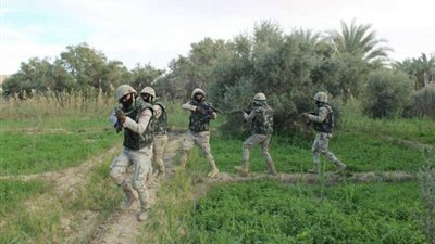 بالصور والأرقام.. حصاد 4 أيام من العملية الشاملة 