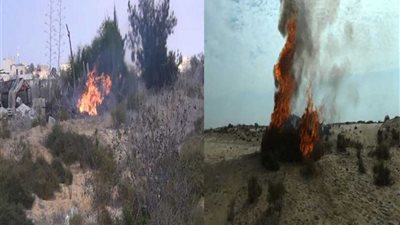 قائد قوات الدفاع الشعبي: تدمير ١٢٨٢ وكرا إرهابيا والقبض على ٧١ تكفيريا