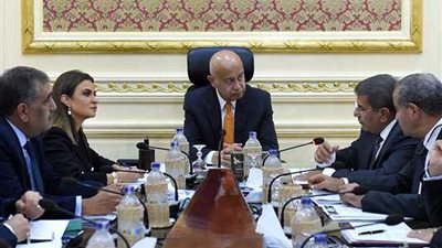 الحكومة توافق على مشروع قانون لتنظيم الدواء