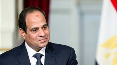 أبناء كوم أمبو بأسوان يعلنون تأييدهم للرئيس السيسي