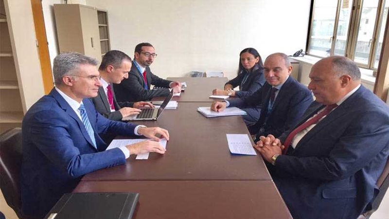 شكري يبحث مواجهة