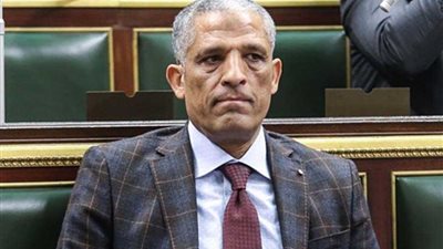 نائب ينتقد وزير النقل في البرلمان.. وعبد العال: 