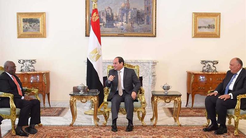 السيسي يشيد بدور