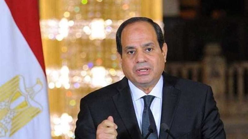 مؤتمر بـوفد الإسماعيلية