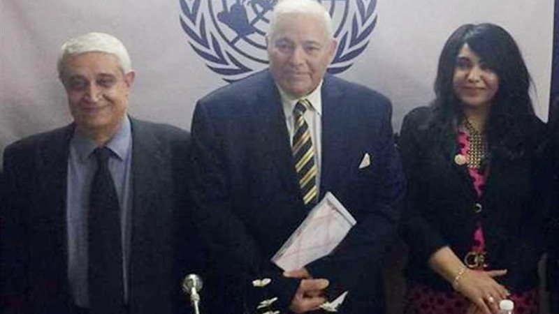 لا يهم لون القط ما