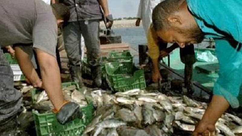 ضبط 25 بؤرة تهريب