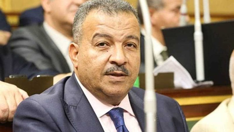 وفد من صحة النواب