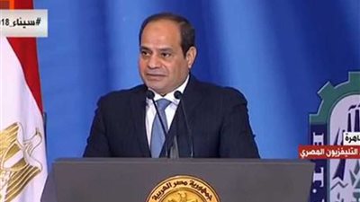 الرئيس السيسي: عملنا إجراءات اقتصادية صعبة وصمود الشعب حقق النجاح (فيديو)