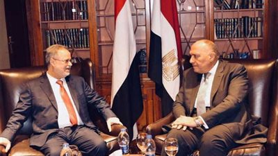 شكري يؤكد دعم مصر لاستقرار اليمن والحل السياسي للأزمة