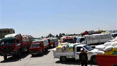 توريد 139 ألف طن قمح لشون وصوامع البحيرة