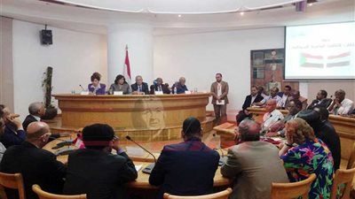 مفكرون بالأعلى للثقافة: هناك مكون عاطفي بين مصر والسودان يجب الحفاظ عليه