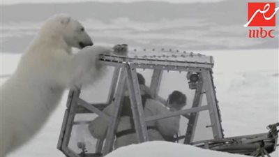 «الدب» بطل«رامز تحت الثلج» في رمضان (فيديو)