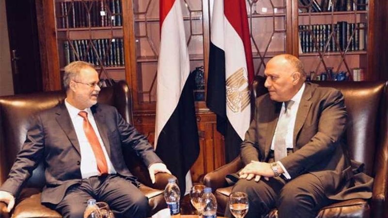 شكري يؤكد دعم مصر