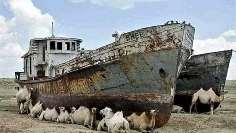 ‏تعرف على مقبرة السفن