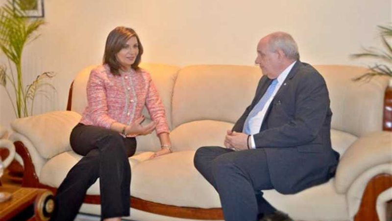 نائب وزير الخارجية