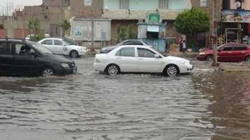 المنوفية تطهر 1763