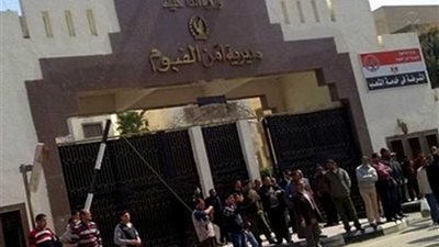 جمعت 100 مليون جنيه.. ضبط شبكة لتوظيف الأموال بالفيوم