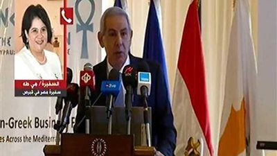 سفيرة مصر بقبرص: هناك قواسم مشتركة بين البلدين ونتفهم دور القاهرة في مكافحة الإرهاب (فيديو)