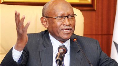 وزير الإعلام السوداني الأسبق: نحن في مهمة مقدسة لتقوية الأواصر بين شعبي وادي النيل