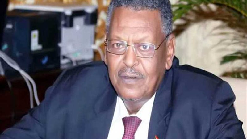 نائب الرئيس السوداني