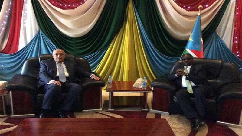 شكري يصل جوبا للمشاركة