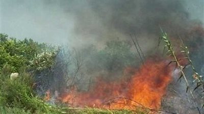 حريق بأرض زراعية يقود الشرطة لضبط كمية أسلحة