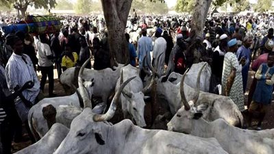 مقتل العشرات بسبب 