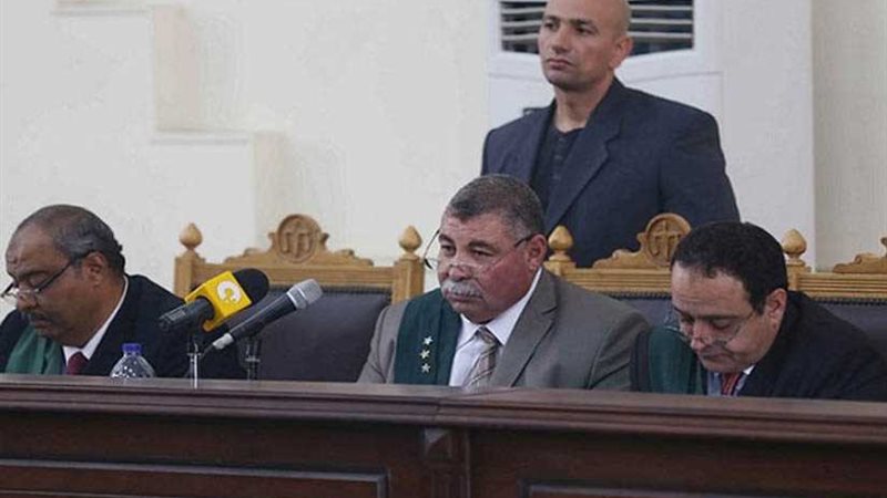 الحبس سنة لعصام سلطان