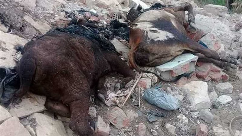 العلويةبالفيوم تستغيث: