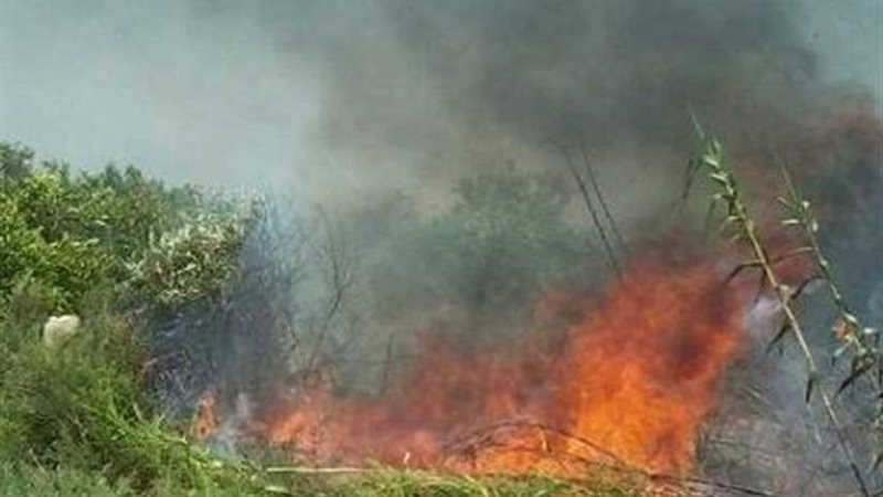 حريق بأرض زراعية