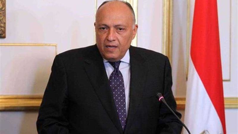 شكري: لجنة مشتركة